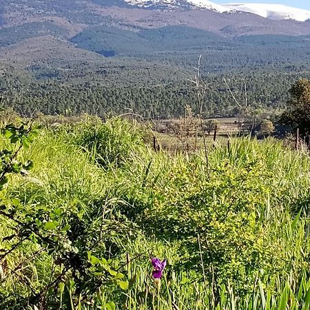 Chambre D'Hotes Ici Bédoin Εξωτερικό φωτογραφία